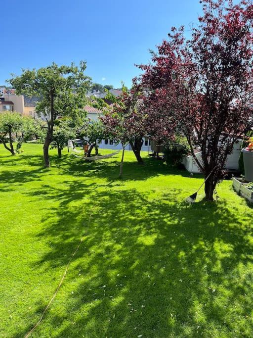 Elins Gjestehus Egersund Kültér fotó
